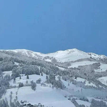 Cityxpress Zell Am Apartment