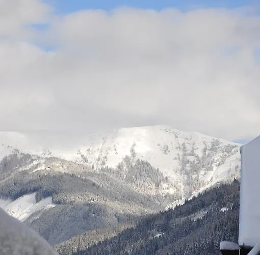 Cityxpress Zell Am דירה צל-אם-זי